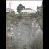 IMG_6506
3/21/2007 1:35:51 PM